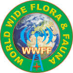 Logo WWFF 9xa1_2a copy